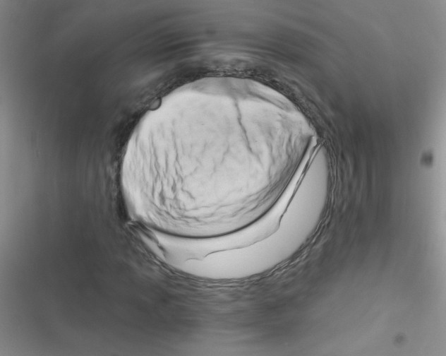 X0000116391013201001131825