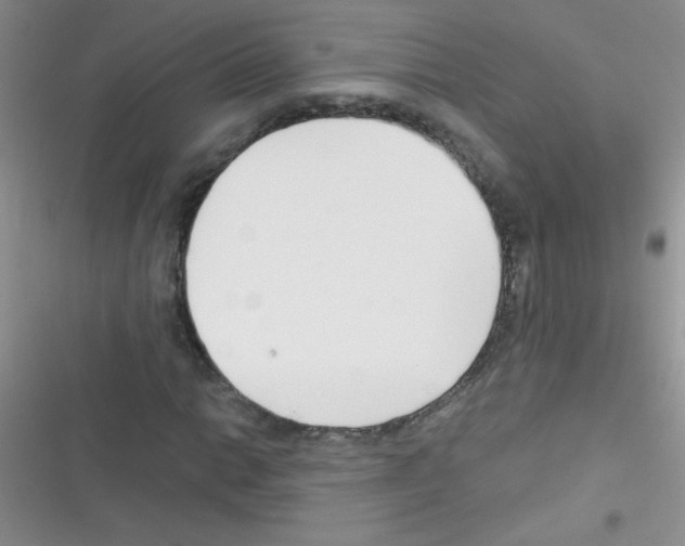 X0000116391014201001131825