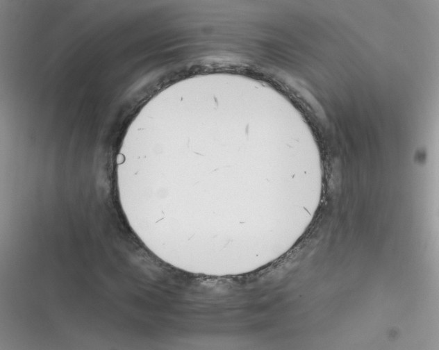 X0000116391015201001131825