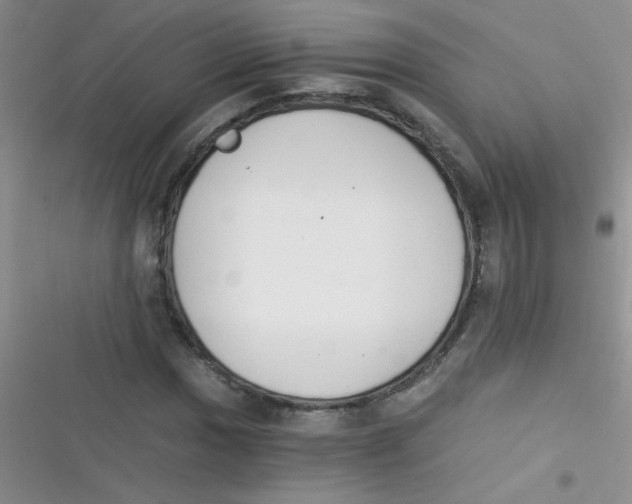 X0000116391017201001131825