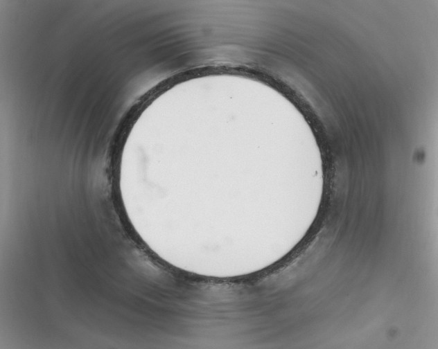 X0000116391018201001131825