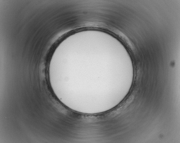 X0000116391019201001131825
