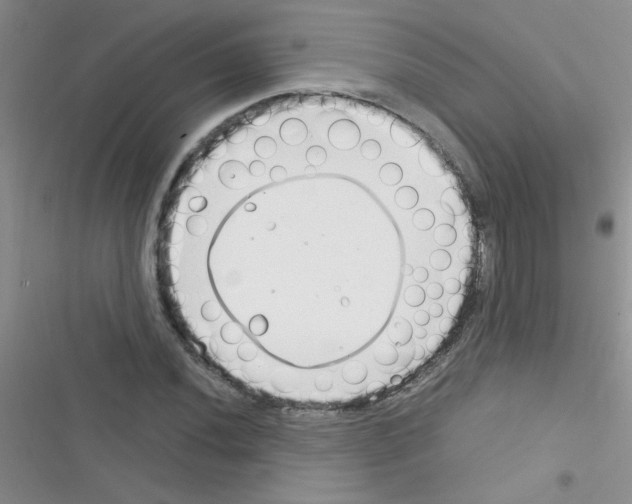 X0000116391020201001131825