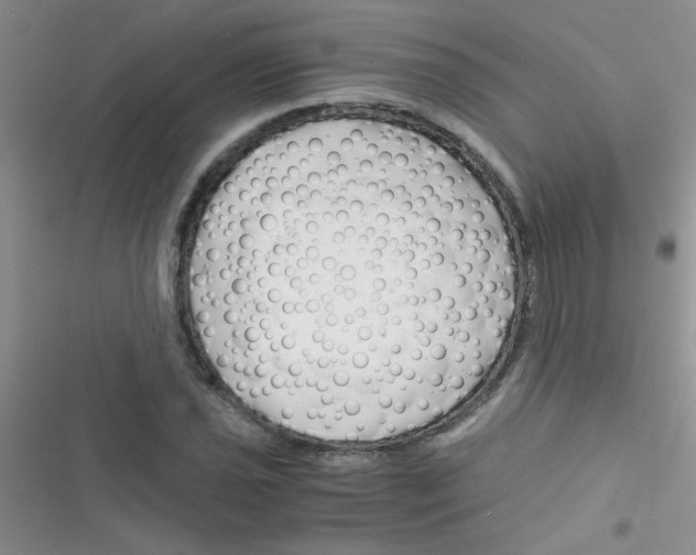 X0000116391021201001131825