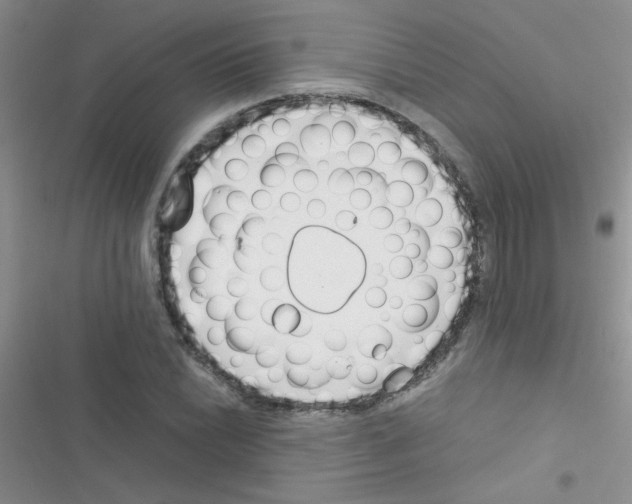 X0000116391022201001131825
