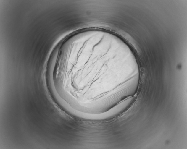 X0000116391024201001131825