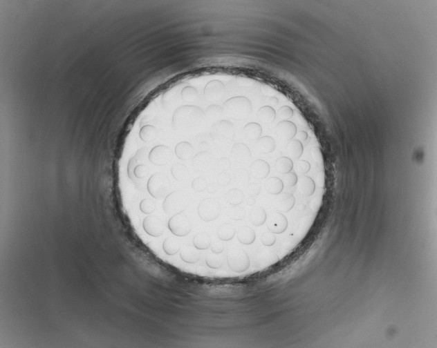 X0000116391025201001131825