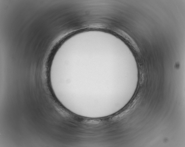 X0000116391027201001131825