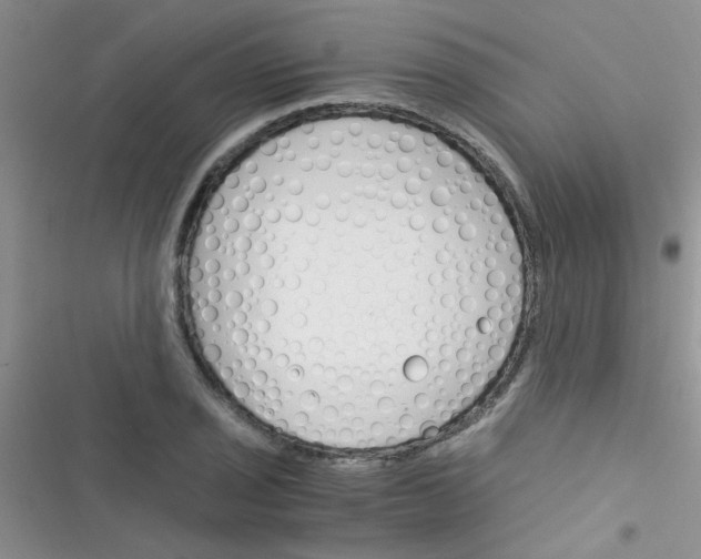 X0000116391029201001131825