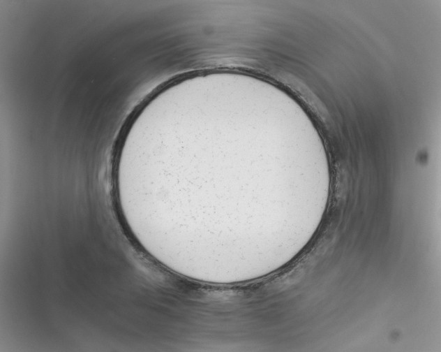 X0000116391031201001131825