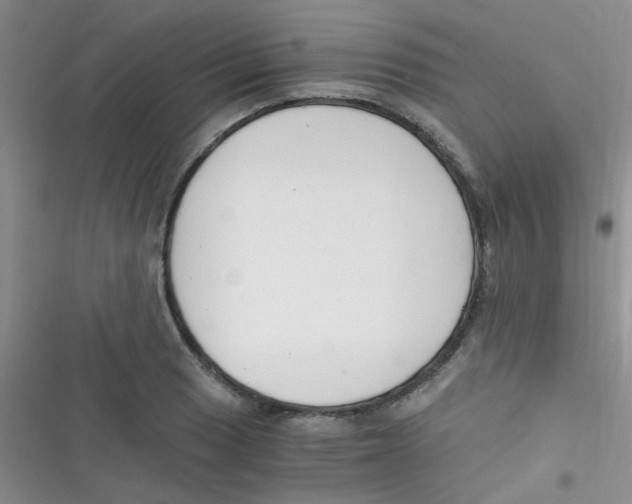 X0000116391033201001131825