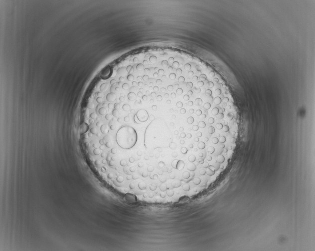 X0000116391036201001131825
