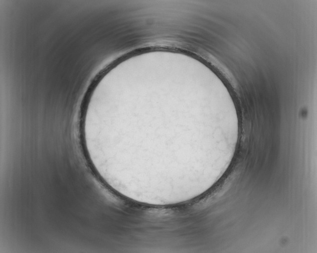 X0000116391037201001131825