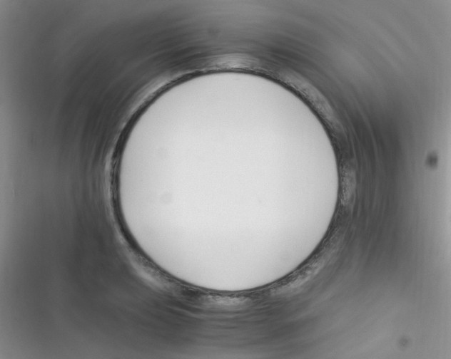 X0000116391039201001131825