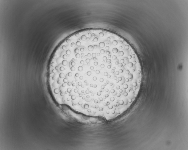 X0000116391040201001131826