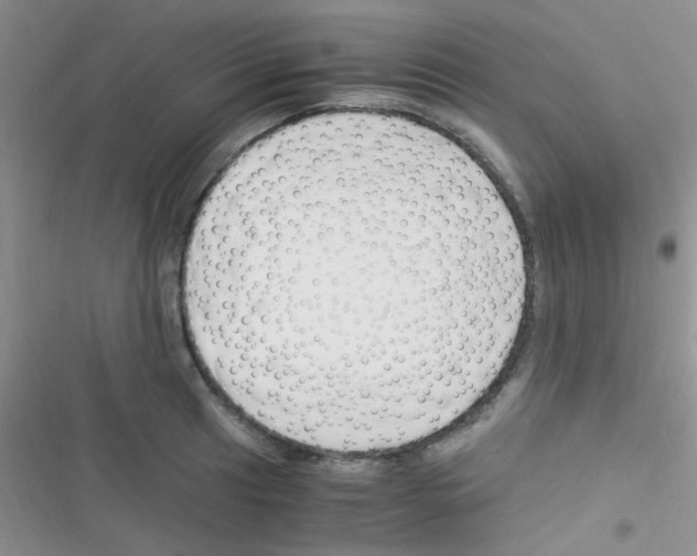 X0000116391041201001131826