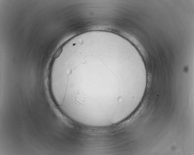 X0000116391042201001131826