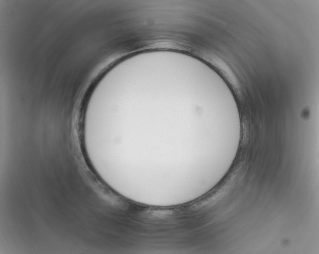 X0000116391043201001131826