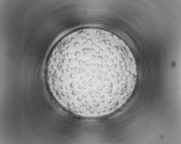 X0000116391044201001131826
