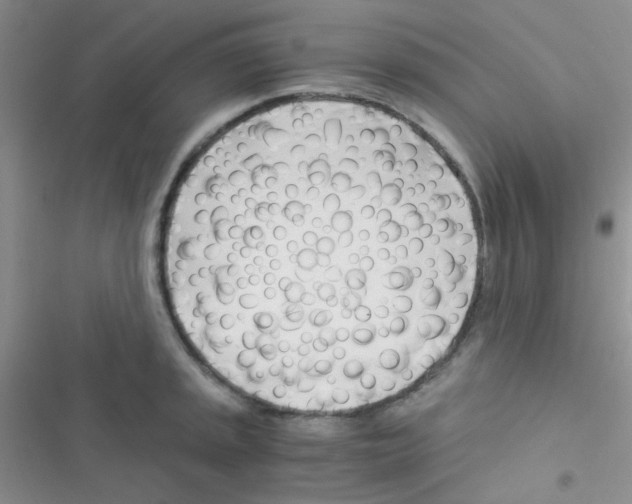 X0000116391045201001131826