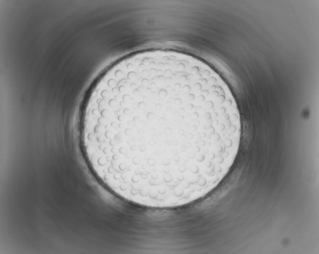 X0000116391046201001131826