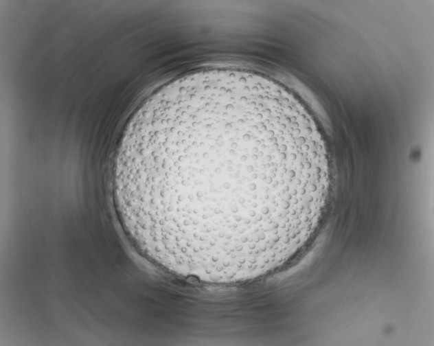 X0000116391049201001131826