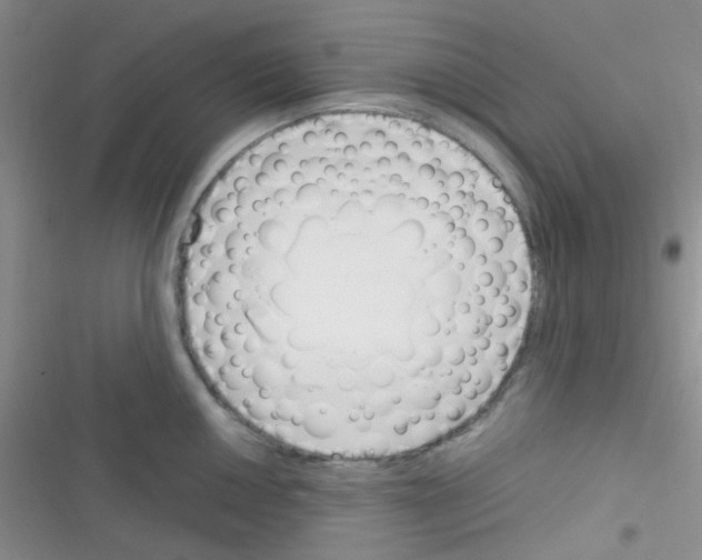X0000116391050201001131826