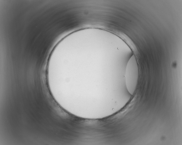 X0000116391052201001131826