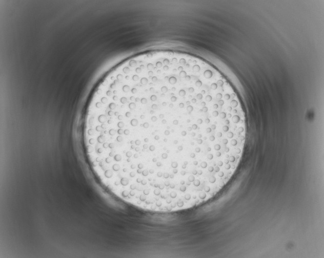 X0000116391053201001131826