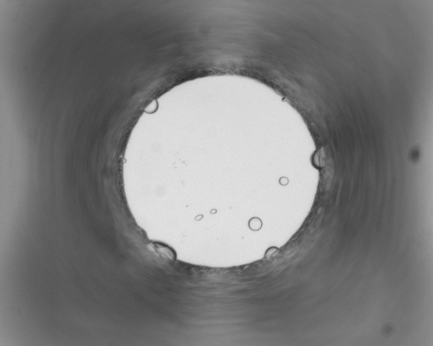 X0000116391057201001131825
