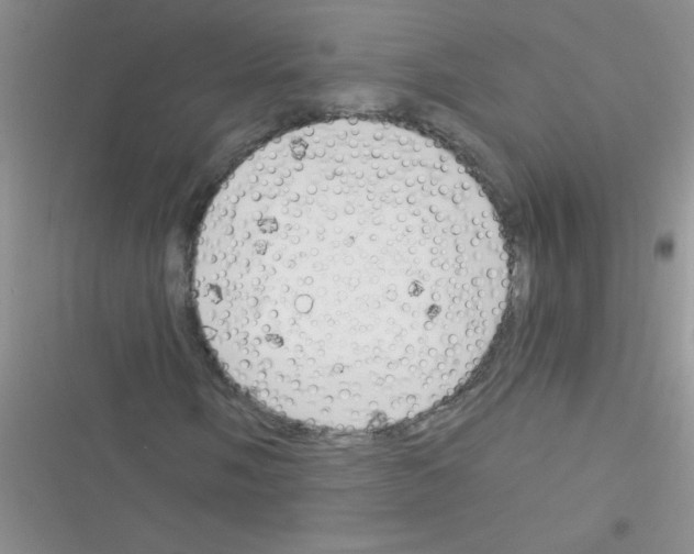 X0000116391058201001131825