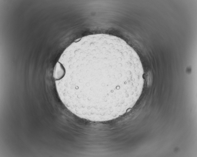 X0000116391059201001131825