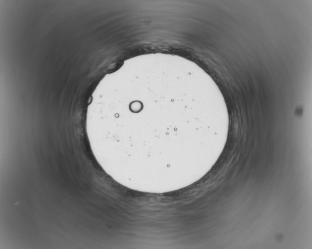 X0000116391060201001131825