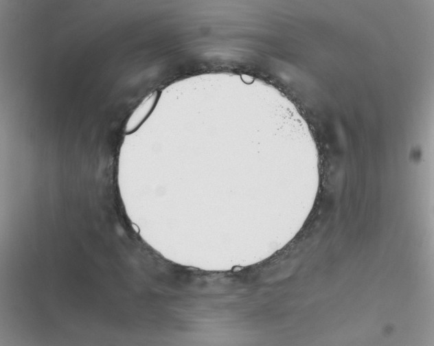 X0000116391061201001131825