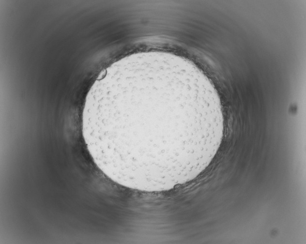 X0000116391062201001131825