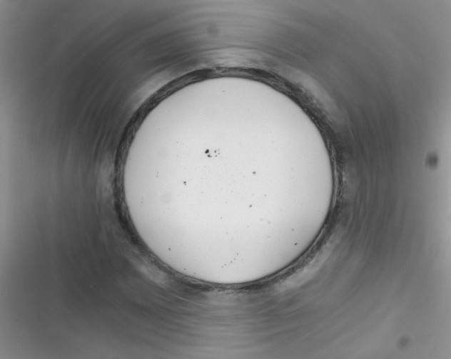 X0000116391065201001131825