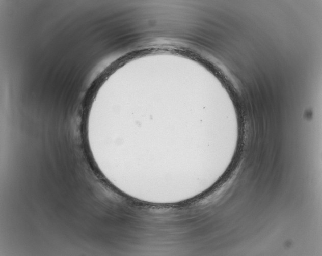 X0000116391066201001131825