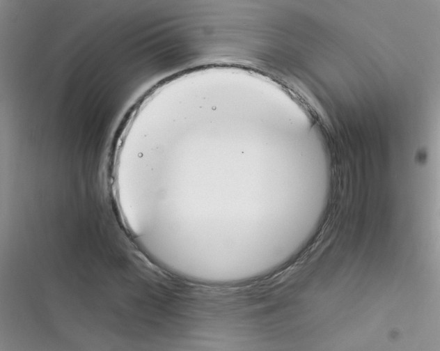 X0000116391068201001131825