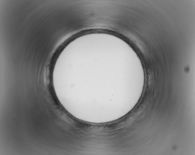 X0000116391069201001131825