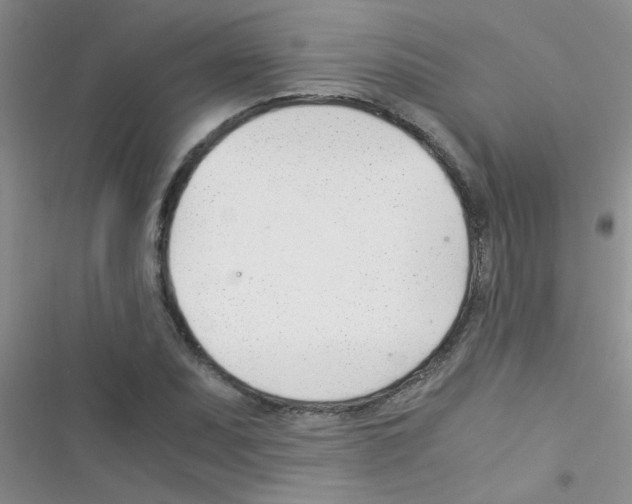 X0000116391071201001131825