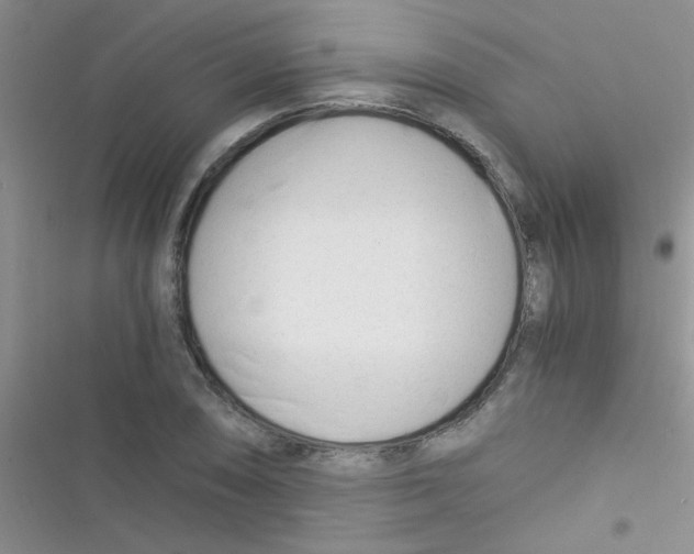 X0000116391074201001131825