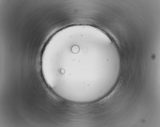 X0000116391075201001131825