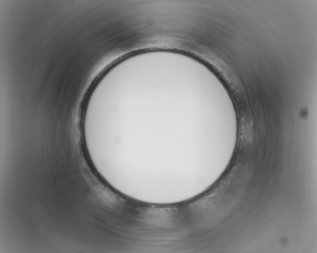 X0000116391078201001131825