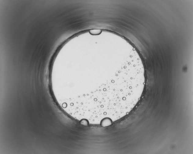 X0000116391080201001131825