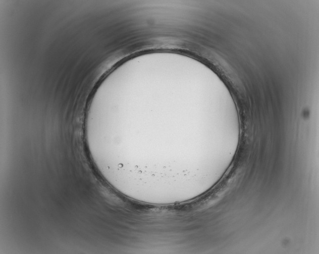 X0000116391081201001131825