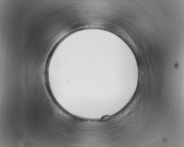 X0000116391087201001131825