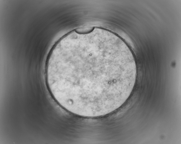 X0000116391088201001131825