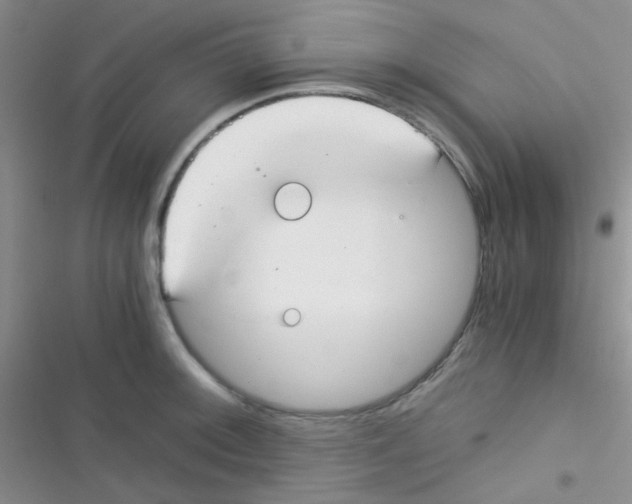 X0000116391092201001131825