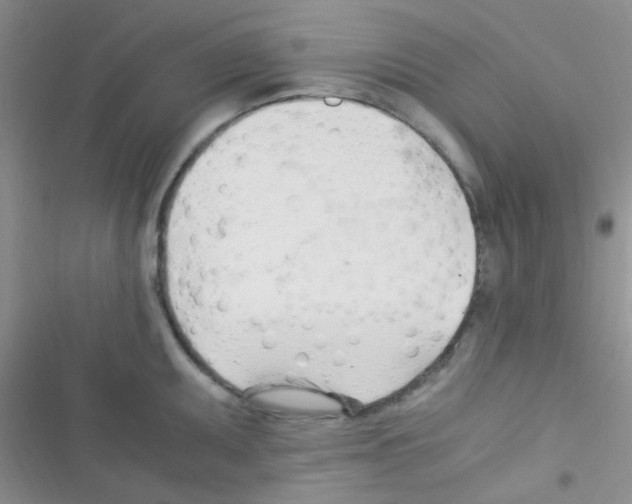 X0000116391095201001131825