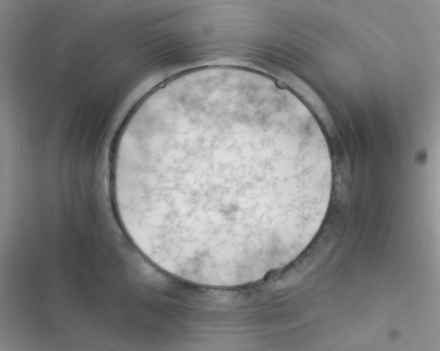 X0000116391096201001131825